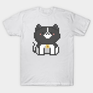 Pixel Quiet Border Collie Cat 72 T-Shirt